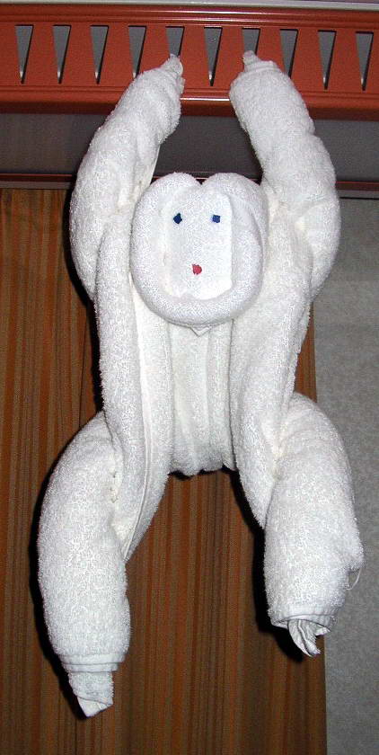 Our last towel animal buddy - just hanging around.